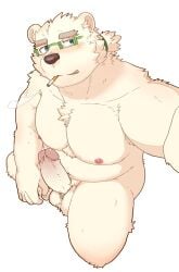 anthro balls bear belly blue_eyes cigarette cigarette_in_mouth erection eyewear fur genitals glasses hagom_bear hi_res leib_(tas) lifewonders male mammal musclegut navel nipples object_in_mouth pecs penis polar_bear smoking solo tokyo_afterschool_summoners ursine white_body white_fur