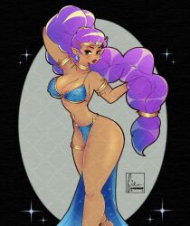 1girls armlet belly_dancer belly_dancer_outfit cleavage cresscin dancer_shantae dark-skinned_female female female_only genie harem_girl harem_outfit huge_breasts loincloth long_hair pointy_ears purple_hair shantae shantae_(character) solo voluptuous