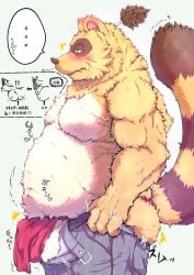 2023 anthro asian_clothing balls belly big_belly blush bottomwear brown_body brown_fur canid canine clothing east_asian_clothing fundoshi fur genitals hi_res humanoid_hands japanese_clothing kemono lv_l male mammal moobs overweight overweight_male pants raccoon_dog red_clothing red_fundoshi red_underwear sengoku_puzzle solo tanuki tokugawa_ieyasu underwear