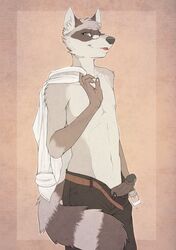 anthro dipper fur furry furry_only glasses male male_only nipples penis raccoon solo tail