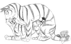 feline female feral lynx male oskenn sex sketchkat tiger tiggie tiggief