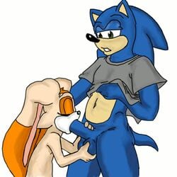 animated aval0nx ball_fondling balls cream_the_rabbit fellatio female head_grab hedgehog male oral oral_sex partially_clothed penis sega sex sonic_(series) sonic_the_hedgehog straight white_background young