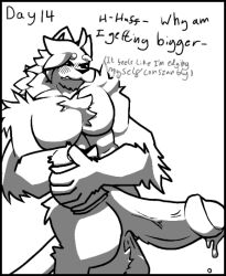 anthro balls belly belly_expansion big_balls big_penis black_and_white blush blush_lines bodily_fluids chips_(food) day_count eating eating_food erection expansion felid feline food genital_fluids genitals growth growth_pills hairy huge_balls huge_cock humanoid hyper hyper_balls hyper_genitalia hyper_penis kahto_(character) kahto_taph42 leaking_precum looking_at_genitalia looking_at_penis looking_down male male/male mammal meme monochrome muscle_growth musclegut no_nut_november pecs penis precum shaded simple_background solo text tufted_fur white_background