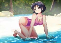 1girls akane_tendo all_fours anime artist_name artist_request ass beach blue_hair female island medium_hair ocean one-piece_swimsuit pink_swimsuit ranma_1/2 swimsuit