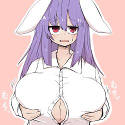 reisen udongein inaba from touhou by ooyama bokuchi