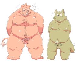 2023 anthro balls belly big_belly canid canine canis domestic_dog duo erection genitals hi_res kemono male male/male mammal moobs nipples overweight overweight_male penis penis_size_difference simple_background small_penis suid suina suishou0602 sus_(pig) white_background wild_boar