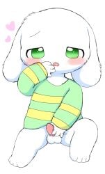 anthro asriel_dreemurr azuo balls blush boss_monster bottomless bovid caprine clothed clothing cub fur genitals goat green_eyes hand_on_penis heart hi_res male male_only mammal masturbation pattern_clothing pattern_sweater pattern_topwear penile penile_masturbation penis simple_background solo striped_clothing striped_sweater striped_topwear stripes sweater tapering_penis topwear undertale undertale_(series) white_background white_body white_fur young