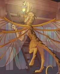 6_wings books bookshelf climbing_ladder cricket_(wof) indoors looking_at_viewer multi_wing pose skinny spectacles wings wings_of_fire