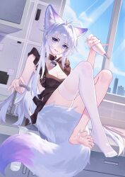 animal_ears feet kirby_d_a nekomimi purple_eyes tail