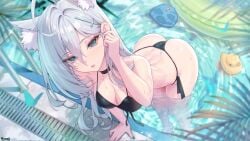 1girls abydos_high_school_student bikini black_bikini blue_archive blue_eyes cat_ears choker choney female female_focus female_only looking_at_viewer medium_breasts pool shiroko_(terror)_(blue_archive) swimming_pool swimsuit water white_hair