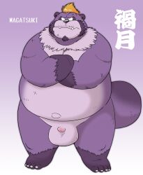 2023 angry anthro balls belly big_belly big_penis canid canine fur genitals hi_res kemono male mammal overweight overweight_male penis purple_body purple_fur raccoon_dog simple_background small_penis solo tanuki tentama text wantaro