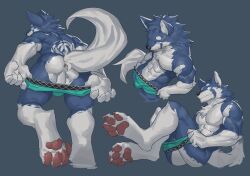 abs anthro anus ass biceps blue_body blue_eyes blue_fur blue_wolf_(ty_arashi) boxer_briefs boxer_briefs_only bulge canid canine canis clothed clothing fur fur_markings hair hi_res looking_at_viewer male mammal markings mostly_nude multicolored_body multicolored_fur muscular muscular_anthro muscular_male paws pecs solo topless two_tone_body two_tone_fur ty_arashi underwear underwear_only undressing wolf