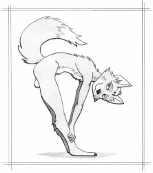 anthro balls bent_over canid canine dogwash fox fox_mccloud genitals graphite_(artwork) greyscale looking_at_viewer male mammal monochrome nintendo raised_tail smile smiling_at_viewer solo star_fox stretching tail traditional_media_(artwork)