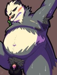 absurd_res anthro bear bodily_fluids body_hair chubby_anthro chubby_male foreskin generation_6_pokemon genital_fluids genitals giant_panda hi_res male mammal moobs nintendo pangoro penis pokemon pokemon_(species) precum presenting shadydaone solo solo_focus sweat