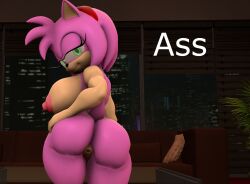 1girls 3d 3d_(artwork) amy_rose anthro anus areolae ass back_view big_ass big_breasts bluewyvern breasts completely_nude completely_nude_female female female_only furry image muscular_female naked naked_female nipples nude nude_female pussy sideboob smile solo solo_female sonic_(series) yiff