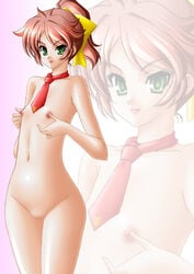 baka_to_test_to_shoukanjuu censored female flat_chest nude pussy shimada_minami smile takaibiki