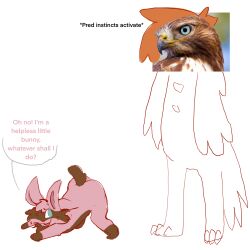 accipitrid accipitriform anthro ass avian bird female hi_res imminent_sex lagomorph leporid male male/female mammal meme predator/prey presenting rabbit skellyroon submissive submissive_female