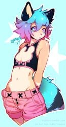 1boy 2017 animal_ears anthro boob_window commission crop_top cutout femboy heterochromia male male_only midriff mothux navel ombre_hair original original_character shorts solo_male tail tank_top tumblr twink