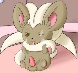 chinchilla cinccino cum cum_on_face fur furry open_mouth pokémon_(species) pokemon shiny_cinccino shiny_pokemon tagme yiff yumei