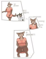 absurd_res anthro beastars bfkitsu1550 blush breasts canid canine canis clothed clothing duo embarrassed english_text female genitals hi_res juno_(beastars) legoshi_(beastars) male male/female mammal presenting presenting_pussy pussy speech_bubble text wolf