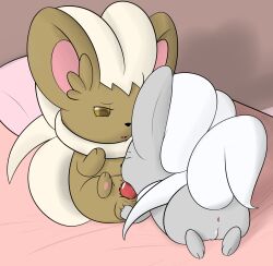 chinchilla cinccino fur furry pokémon_(species) pokemon shiny_cinccino shiny_pokemon tagme yiff yumei