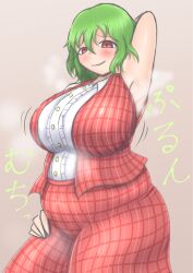 bbw big_belly big_breasts blush chubby embarrassed fat fat_female fat_fetish fat_girl fat_woman guroo_(shine119) larger_female no_humans oekaki_glow overweight overweight_female plump skirt team_shanghai_alice thick_thighs touhou vest youkai yuka_kazami yuuka_kazami