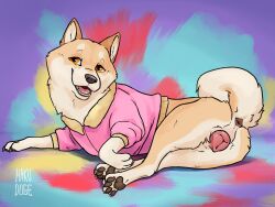 anatomically_correct anatomically_correct_genitalia anatomically_correct_pussy animal_genitalia animal_pussy anus canid canine canine_genitalia canine_pussy canis clothed clothed_feral clothing curled_tail domestic_dog female feral fur genitals hakudoge hi_res jacket mammal open_mouth orange_eyes panama_(hakudoge) pawpads paws pink_pussy pussy shiba_inu smile solo spitz tail tan_body tan_fur topwear