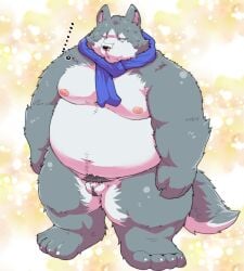 1boy 2023 anthro balls belly big_belly canid canine canis domestic_dog ellipsis genitals grey_body hi_res kemono male male_only mammal micropenis moobs nipples overweight overweight_male penis pubes scarf small_penis solo solo_male suishou0602