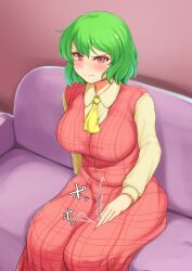 big_breasts blush chubby embarrassed fat fat_female fat_fetish fat_girl fat_woman fatty overweight overweight_female plump sadahiro_(chicken_nugget_gyuuniku_aji) touhou yuka_kazami yuuka_kazami