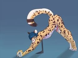 anthro blue_hair cheetah erection feline fur furry hair larvitar larvitar_(artist) male male_only necktie penis precum stretching