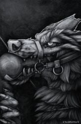 anthro bondage bondage bound canid canine canis deep_throat duo fangs fellatio female fur greyscale half-closed_eyes hand_on_leg hand_on_thigh headshot_portrait hi_res knot knot_lick leash licking looking_pleasured male male/female mammal monochrome muzzle_(object) narrowed_eyes oral oral_penetration penetration penile portrait ravenmadwolf rope sex simple_background snout submissive submissive_female teeth tongue tongue_out torn_ear traditional_media_(artwork) wolf