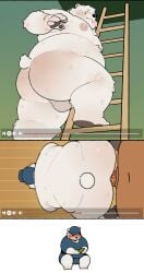 2024 absurd_res all_fours anthro ass backsack balls barazoku bear belly big_belly big_butt blush clothing duo genitals hat headgear headwear hi_res kemono ladder male male/male mammal navel overweight overweight_male polar_bear quanjiang sex solo ursine