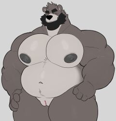 1boy andromorph anthro bara bara_tiddies bara_tits bear beard big_chest big_pecs cuntboy facial_hair fur genitals gigantic_chest gigantic_pecs grey_body grey_fur gruff_(milkblend) hands_on_hips hi_res huge_chest huge_pecs humanoid intersex large_pectorals looking_at_viewer mammal man_boobs man_breasts manboobs massive_chest massive_pecs milkblend moobs musclegut muscular muscular_andromorph muscular_intersex nipples nude overweight overweight_andromorph overweight_intersex pecs pussy solo