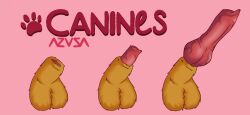 2023 animal_genitalia animal_penis azusagp balls canid canine canine_genitalia canine_penis canis digital_media_(artwork) erection feral feral_only fully_sheathed fur genitals knot male male_only mammal nude penile penis reference_image sheath simple_background text yellow_body yellow_fur