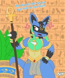 absurd_res angry ankh anthro blue_body blue_fur bottomwear bracelet canid canine clothed clothing crop_top cross-popping_vein dialogue ear_piercing ear_ring egyptian egyptian_clothing fur gem generation_4_pokemon genitals hair hand_on_hip head_tuft headdress hi_res hieroglyphics holding_object holding_staff humanoid_genitalia humanoid_penis jewelry loincloth looking_away lucario male mammal ninjatreecko nintendo open_mouth penis piercing plant pokemon pokemon_(species) pokemon_unite pokemorph red_eyes ring_piercing shirt skimpy solo staff standing tagme tail topwear translucent translucent_bottomwear translucent_clothing tuft wall_art zane_aurastar