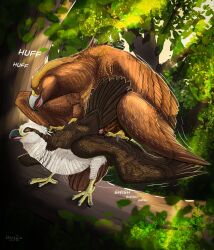 2023 accipitrid accipitriform ambiguous/ambiguous ambiguous_gender animal_genitalia avian bird breath cloaca cloacal cloacal_kiss copyright_request detailed_background eagle feral feral_on_feral genitals golden_eagle hi_res lurk_(wingz31) male_(lore) osprey outside panting sawyer_(ferobird) sex true_eagle wingz31