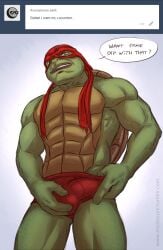 anthro biceps bulge clothing green_body green_skin male male_only msobscure muscular muscular_anthro muscular_male raphael_(tmnt) reptile scalie solo teenage_mutant_ninja_turtles teenage_mutant_ninja_turtles_(2014) turtle underwear