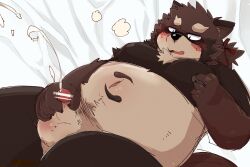 2023 anthro balls belly blush bodily_fluids brown_body canid canine cum ejaculation erection genital_fluids genitals kemono male mammal masturbation moobs navel nipples overweight overweight_male penis raccoon_dog small_penis solo tanuki tsurugi