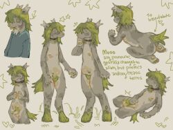 anthro furry fursona genderfluid gray_fur green_hair grey_fur male male_focus male_only moss_(switchmoss) nipples original original_character penis pubic_hair reference_image reference_sheet small_breasts small_penis