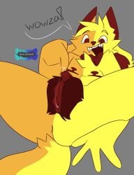 1boy boob_(kittydogcrystal) cuntboy furry furry_only intersex kittydog_(species) kittydog_fanart pussy solo