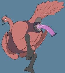 1girls animal_genitalia ass avian avian_feet beak bird blue_background bodily_fluids chubby_feral cloaca cloaca_juice cloacal cloacal_penetration clothed clothed_feral clothing dildo dildo_in_cloaca earbuds eyelashes feathered_wings feathers female female_only feral furry genital_fluids genitals headphones leotard looking_back on_one_leg penetration pink_cloaca presenting presenting_hindquarters profanity purple_eyes ratite red_body red_feathers sex_toy sex_toy_in_cloaca sex_toy_insertion simple_background solo standing surprised_expression tail_feathers thick_thighs tongue tongue_out torn_clothing translucent translucent_clothing wardrobe_malfunction wide_eyed wide_hips wings zevex