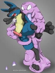 anal color darknek0gami fur furry furry_only gay grimer interspecies lowres lucario male male_only multiple_males penis pokemon pokemon_(species) pokephilia sex yaoi