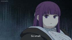 1girls big_breasts breasts dialogue double_chin fat fern_(sousou_no_frieren) long_hair obese obese_female overweight overweight_female purple_eyes purple_hair screenshot screenshot_edit solo sousou_no_frieren