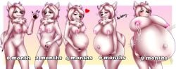 anthro belly bertyborts big_breasts bodily_fluids breasts canid canine canis domestic_dog female genitals growth_sequence hi_res hyper hyper_pregnancy lactating mammal nordic_sled_dog pregnancy_progression pregnant pregnant_female pussy samoyed solo spitz tammy_(tammyweresamoyed)