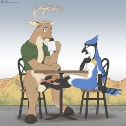 2023 anthro antlers avian balls beverage bird black_nose blue_body blue_feathers blue_jay bottomless bottomless_anthro bottomless_female bottomless_male breasts brown_body brown_fur clothed clothing coffee corvid deer drinking duo erection feathers feet female foot_fetish foot_play footjob fur genitals hi_res horn jay_(bird) jishinu male male/female mammal multicolored_body multicolored_feathers new_world_jay nipples oscine passerine penis sex two_tone_body two_tone_feathers under_the_table