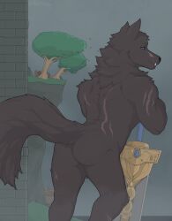 2023 anthro arched_back ass black_nose black_sclera blaidd_(elden_ring) brick_wall canid canine canis elden_ring fangs foggy foggy_background fromsoftware fur grey_body grey_fur hi_res holding_object holding_weapon looking_at_viewer looking_back male male_only mammal melee_weapon muscular muscular_anthro muscular_male nude plant presenting purple_eyes scar scars_all_over smile solo sword taffhazy teeth tree tuft wall_(structure) weapon wolf