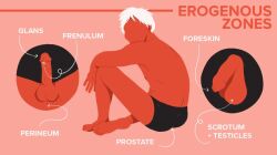 1boy artist_request ass barefoot character_request educational english_text erogenous_zones foreskin illustration male male_feet male_only penis perineum red_skin simple_background solo tagme_(artist) tagme_(character) testicles text underwear underwear_only white_hair