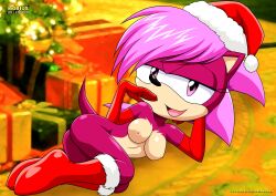 sonia the hedgehog from christmas by bbmbbf