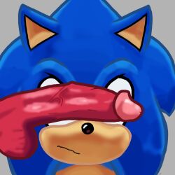 balls big_balls big_penis cant_see_the_haters covering_with_object dick dick_in_face gay knuckles_the_echidna male/male sonic_(series) sonic_the_hedgehog sonic_the_hedgehog_(comics) yaoi