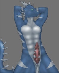 1boy 3dinoz anthro blue dragon erection horn legs looking_at_viewer male male_only muzzle nude penis raventhan scalie show slit solo spread_legs spreading tail